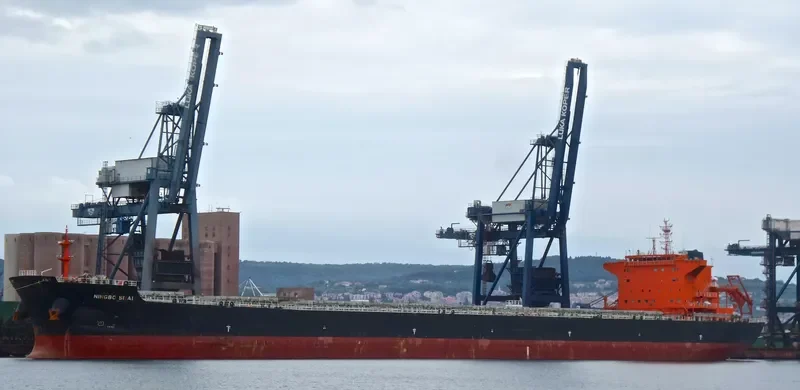NINGBO SEAL Bulk Carrier IMO 9579066 photo 4