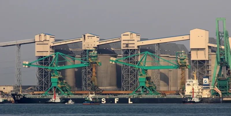 GUO YUAN 20 Bulk Carrier IMO 9579286