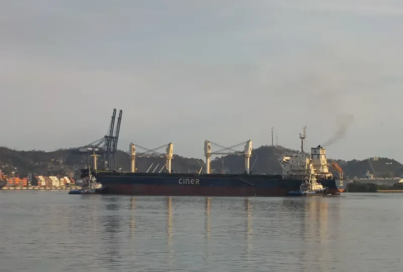 FATIH Bulk Carrier IMO 9579327 photo 3