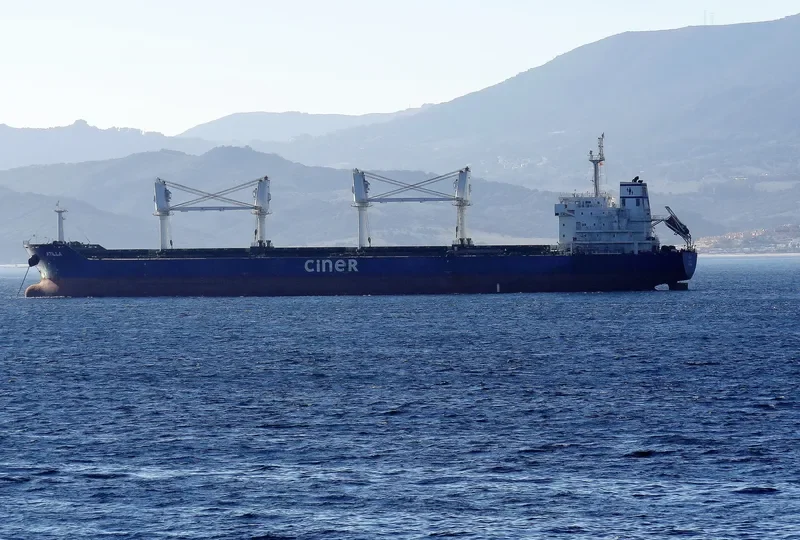ATILLA Bulk Carrier IMO 9579339 photo 4