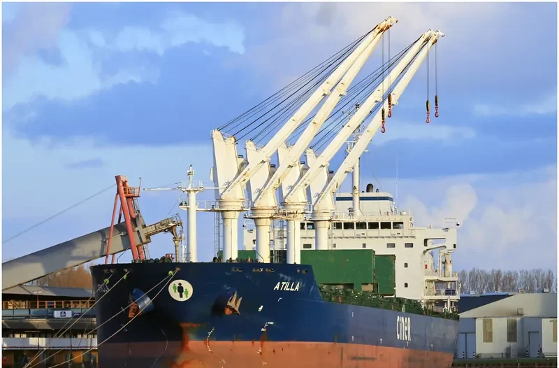 ATILLA Bulk Carrier IMO 9579339 photo 5