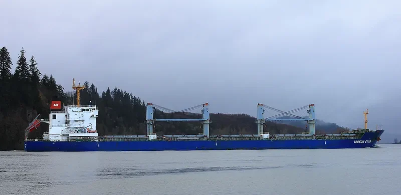 UNISON STAR Bulk Carrier IMO 9579391 photo 3