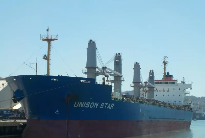 UNISON STAR Bulk Carrier IMO 9579391 photo 9