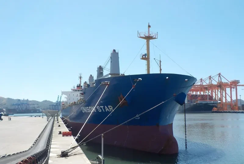 UNISON STAR Bulk Carrier IMO 9579391 photo 10