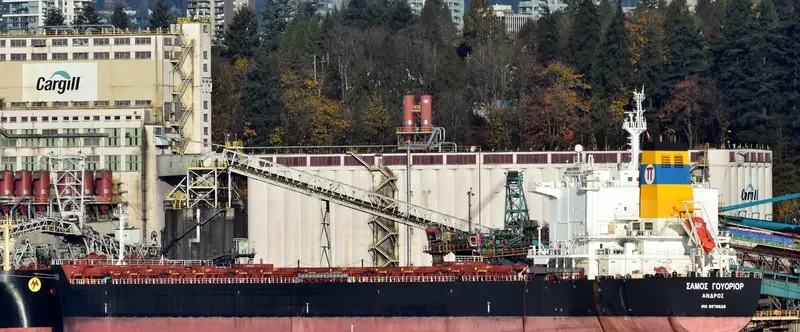 SAMOS WARRIOR Bulk Carrier IMO 9579626 photo 2
