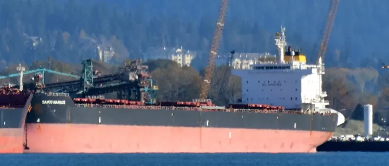 SAMOS WARRIOR Bulk Carrier IMO 9579626 photo 3