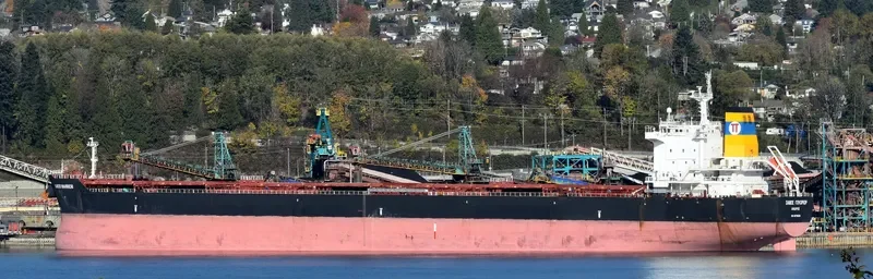 SAMOS WARRIOR Bulk Carrier IMO 9579626 photo 4