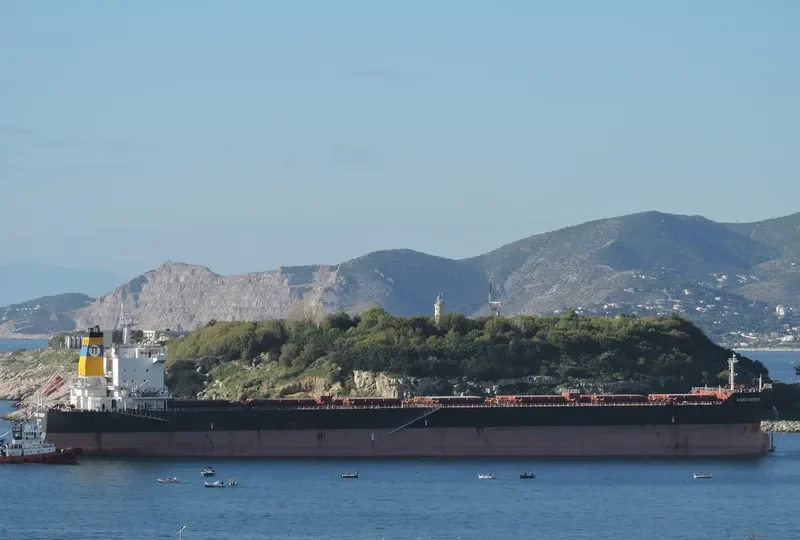 SAMOS WARRIOR Bulk Carrier IMO 9579626 photo 7