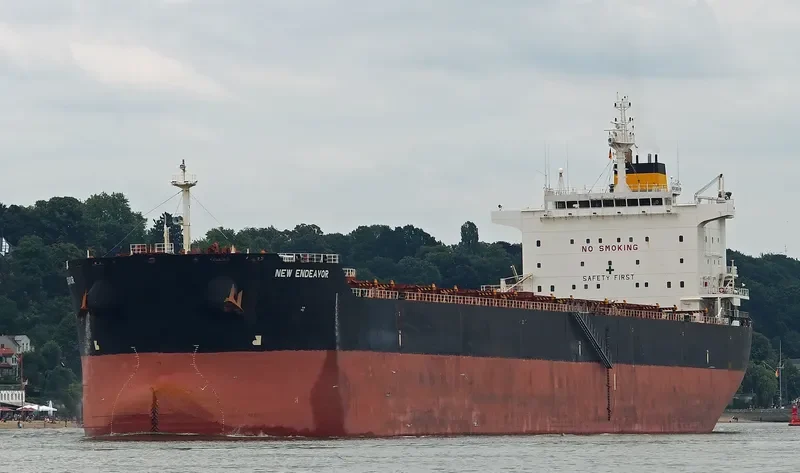 NEW ENDEAVOR Bulk Carrier IMO 9579638 photo 3