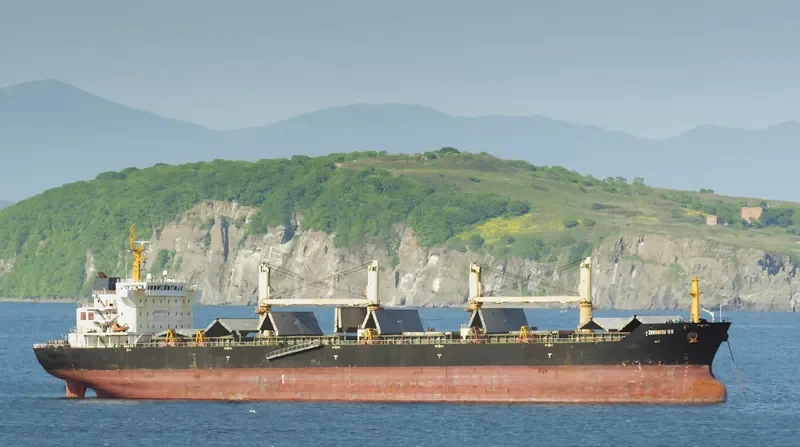NS HEFEI Bulk Carrier IMO 9579729 photo 5