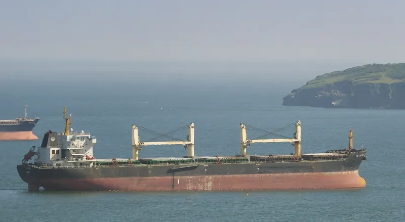 NS HEFEI Bulk Carrier IMO 9579729 photo 9
