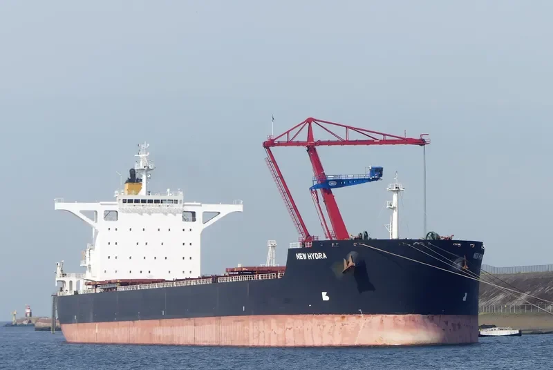 NEW HYDRA Bulk Carrier IMO 9579781 photo 3