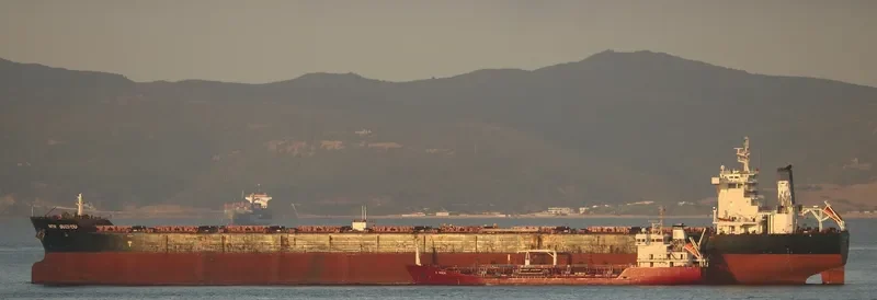 BERGE RINJANI Bulk Carrier IMO 9579884