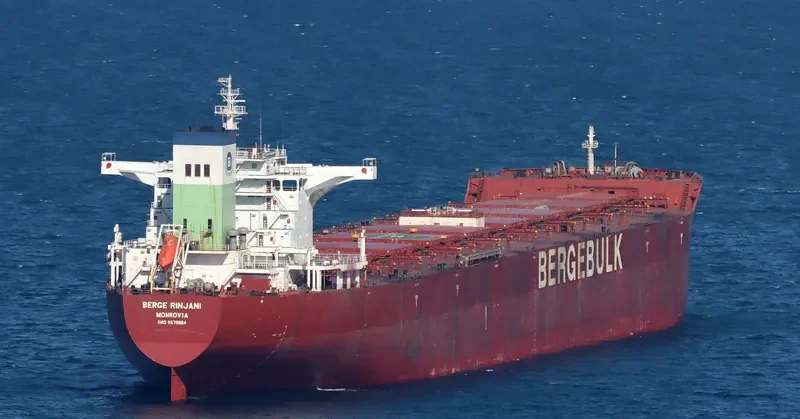 BERGE RINJANI Bulk Carrier IMO 9579884 photo 6