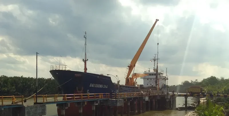 CHEN GLORY 9 Bulk Carrier IMO 9579963 photo 8
