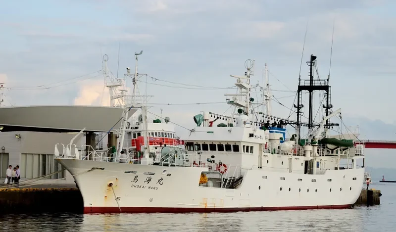 CHOKAI MARU General Cargo IMO 9579999 photo 2
