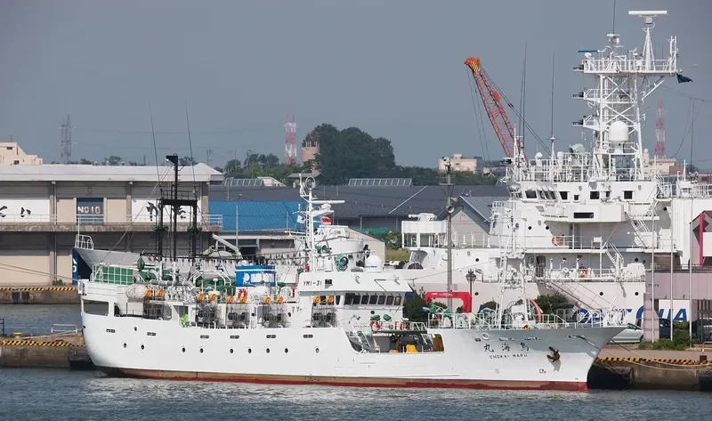 CHOKAI MARU General Cargo IMO 9579999 photo 4