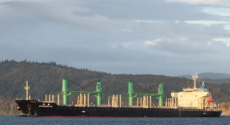 SPINNAKER SW Bulk Carrier IMO 9580003 photo 3