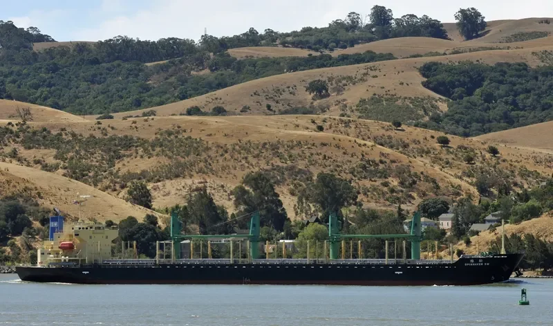 SPINNAKER SW Bulk Carrier IMO 9580003 photo 5