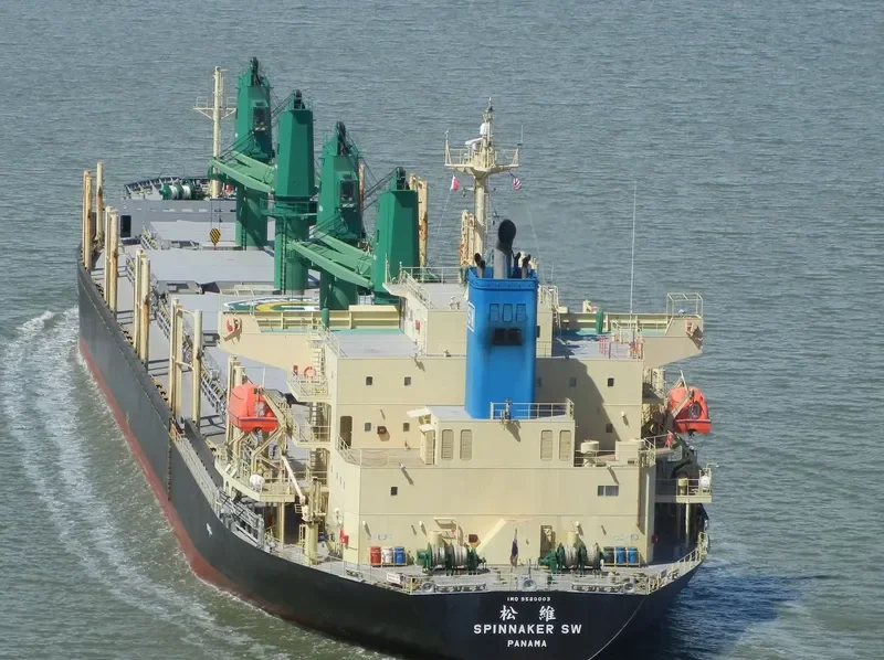 SPINNAKER SW Bulk Carrier IMO 9580003 photo 6