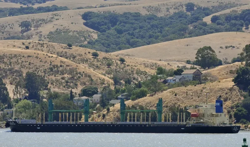 SPINNAKER SW Bulk Carrier IMO 9580003 photo 7