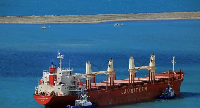 PEARL IVY Bulk Carrier IMO 9580015