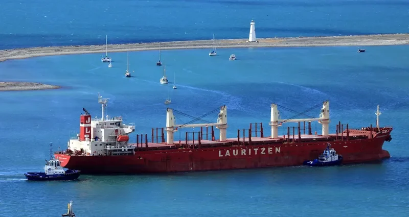 PEARL IVY Bulk Carrier IMO 9580015 photo 2