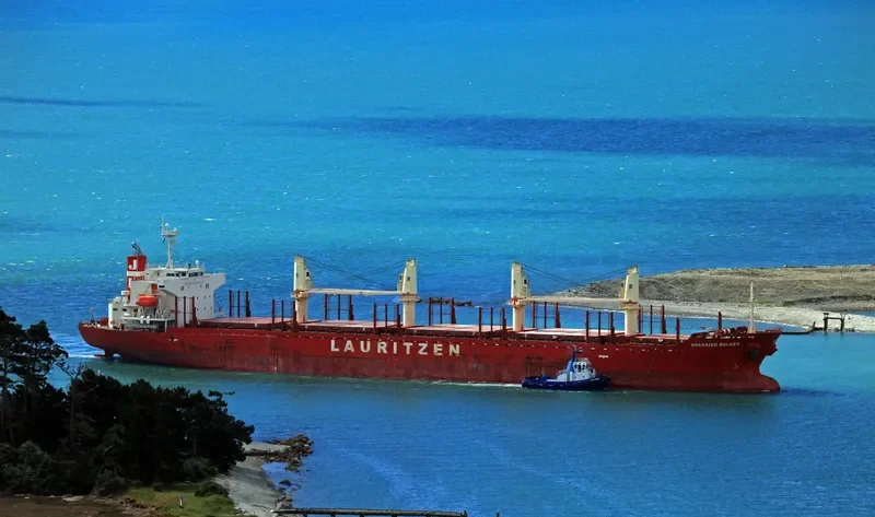 PEARL IVY Bulk Carrier IMO 9580015 photo 3