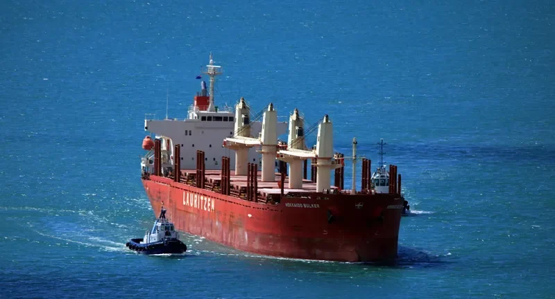 PEARL IVY Bulk Carrier IMO 9580015 photo 4
