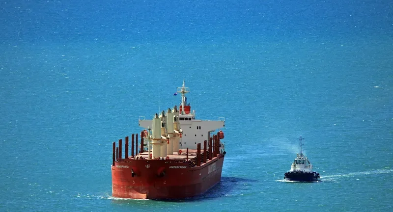 PEARL IVY Bulk Carrier IMO 9580015 photo 5