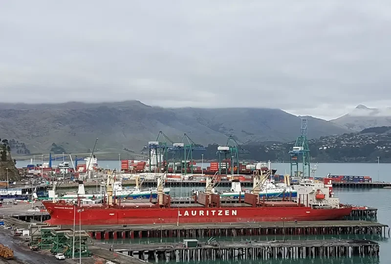 PEARL IVY Bulk Carrier IMO 9580015 photo 7