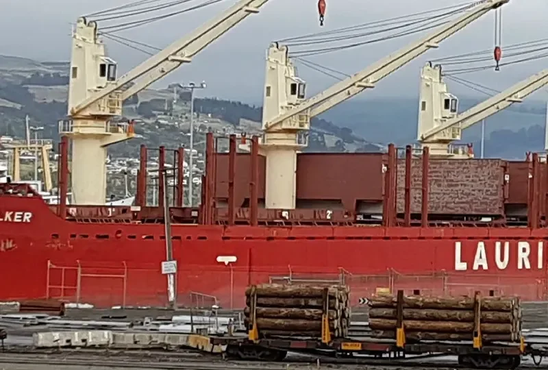 PEARL IVY Bulk Carrier IMO 9580015 photo 8
