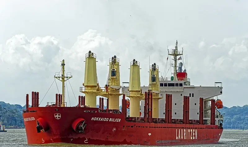 PEARL IVY Bulk Carrier IMO 9580015 photo 9