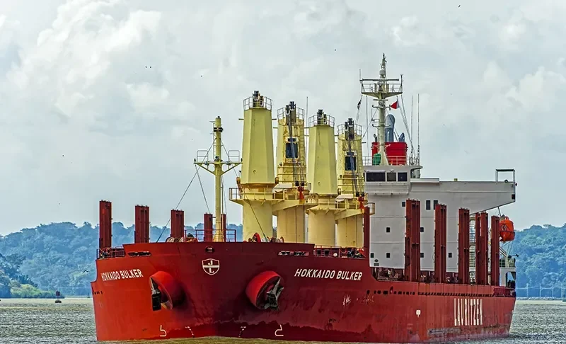 PEARL IVY Bulk Carrier IMO 9580015 photo 10