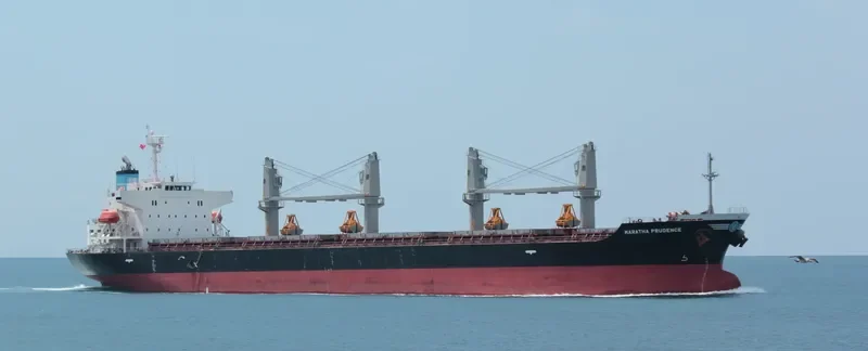 CANNY CAROLINE Bulk Carrier IMO 9580027 photo 9