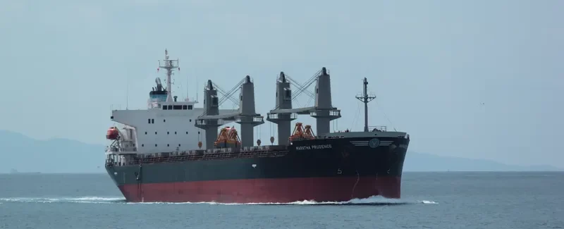 CANNY CAROLINE Bulk Carrier IMO 9580027 photo 10