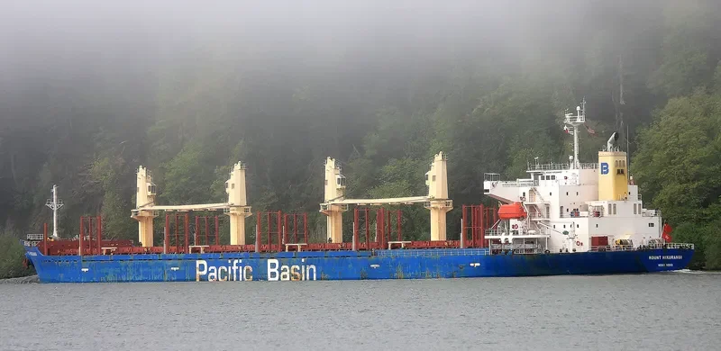 MOUNT HIKURANGI Bulk Carrier IMO 9580039 photo 2