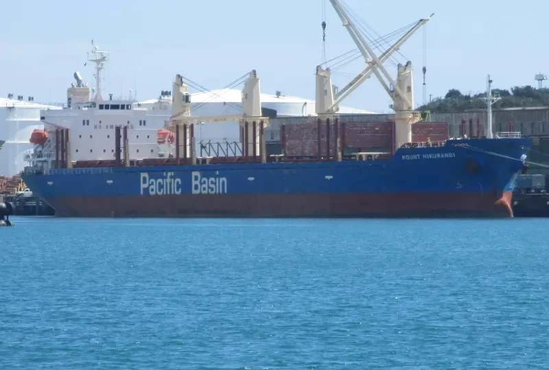 MOUNT HIKURANGI Bulk Carrier IMO 9580039 photo 4