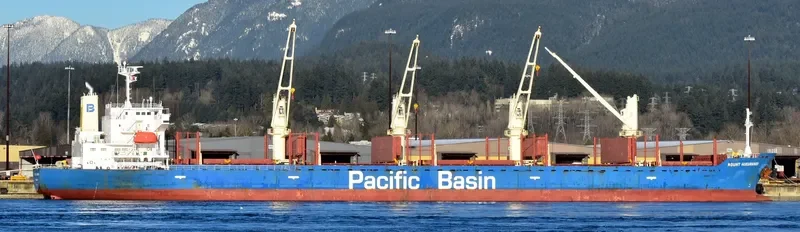 MOUNT HIKURANGI Bulk Carrier IMO 9580039 photo 6