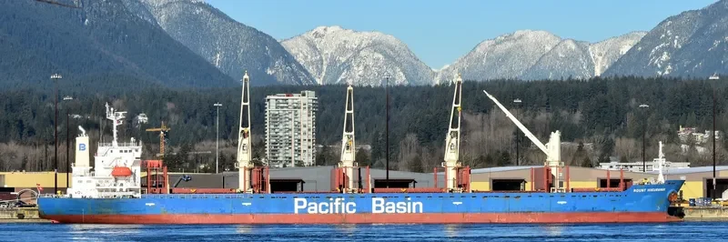 MOUNT HIKURANGI Bulk Carrier IMO 9580039 photo 7