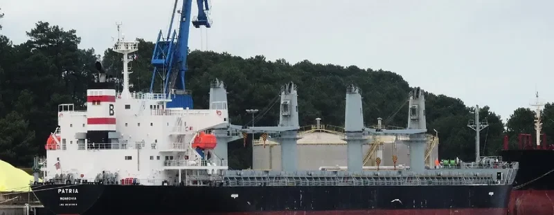 PATRIA Bulk Carrier IMO 9580053