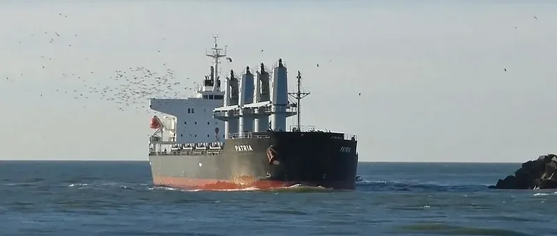 PATRIA Bulk Carrier IMO 9580053 photo 4