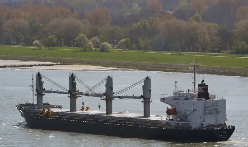 PATRIA Bulk Carrier IMO 9580053 photo 5