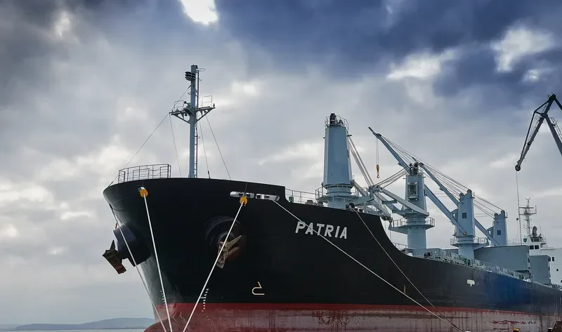 PATRIA Bulk Carrier IMO 9580053 photo 7