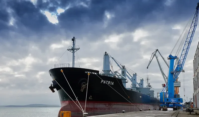 PATRIA Bulk Carrier IMO 9580053 photo 8