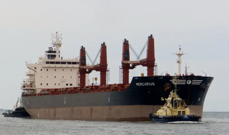 MERCURIUS Bulk Carrier IMO 9580091 photo 6