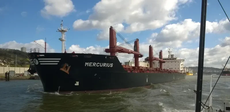 MERCURIUS Bulk Carrier IMO 9580091 photo 10