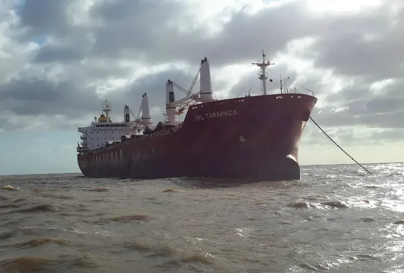 SPL TARAPACA Bulk Carrier IMO 9580132 photo 8