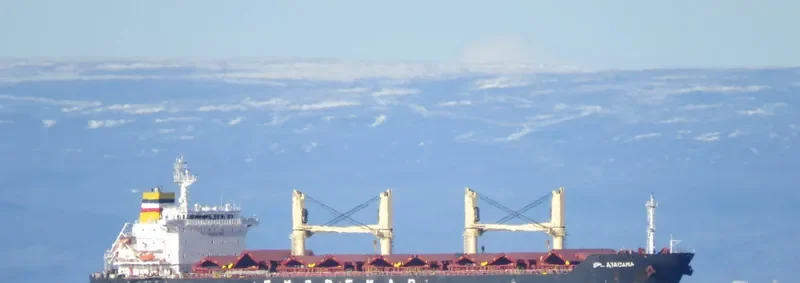 SPL ATACAMA Bulk Carrier IMO 9580156 photo 3