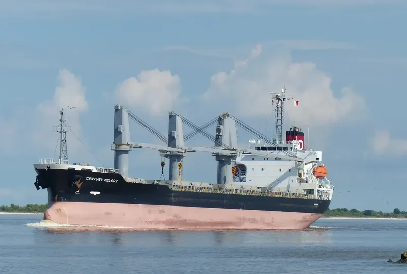 CENTURY MELODY Bulk Carrier IMO 9580211 photo 7